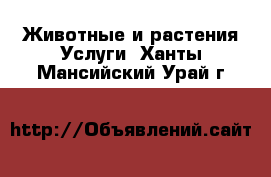 Животные и растения Услуги. Ханты-Мансийский,Урай г.